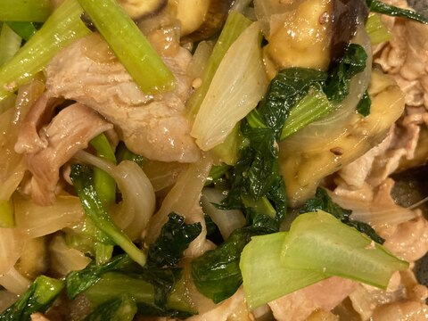 豚肉となすと小松菜の炒め物